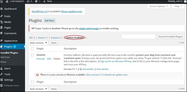 Wordpress Plugin Settings